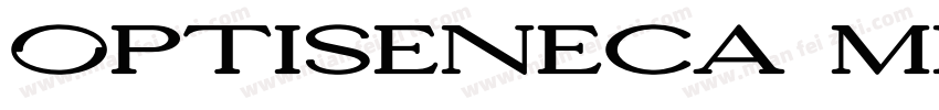 OPTISeneca Medium字体转换